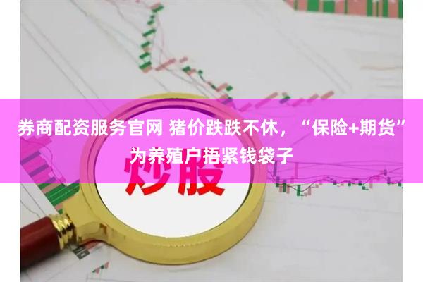 券商配资服务官网 猪价跌跌不休，“保险+期货”为养殖户捂紧钱袋子